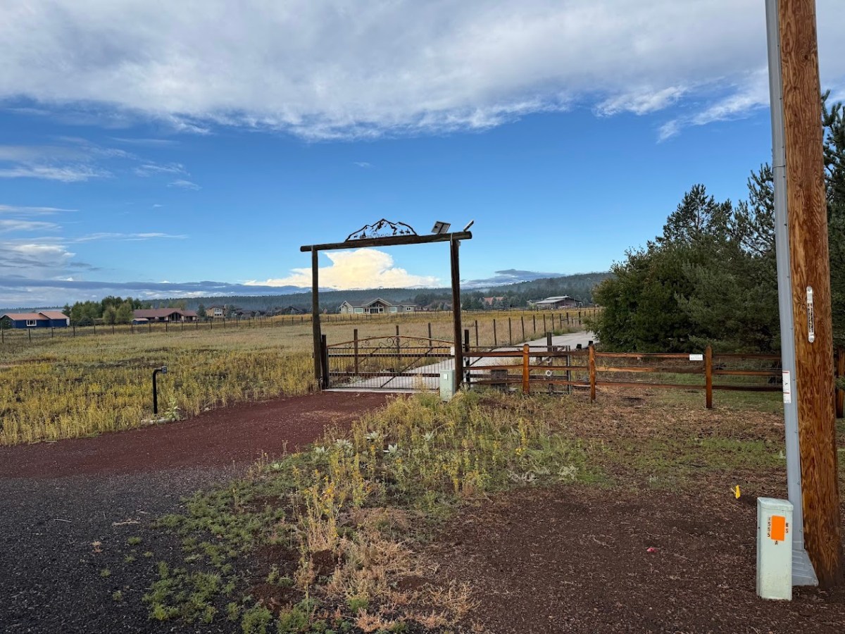 paying attention on Bader Road